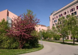 Neuburg Kliniken Sankt Elisabeth