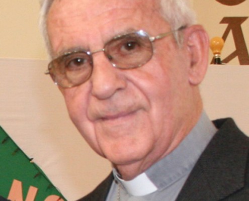 P. Albert Rebmann