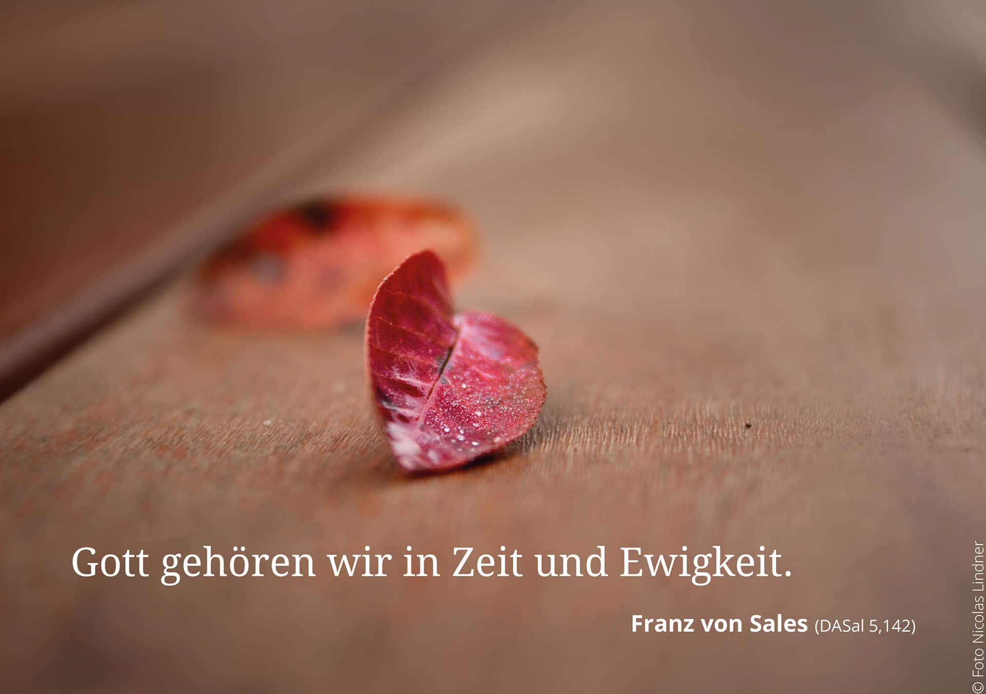Fotos_Nicolas-Lindner_05