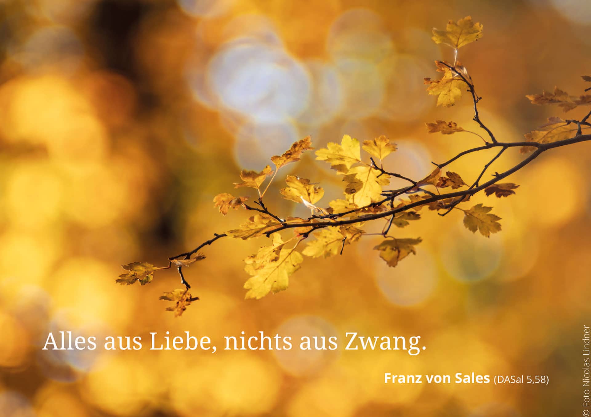 Fotos_Nicolas-Lindner_32