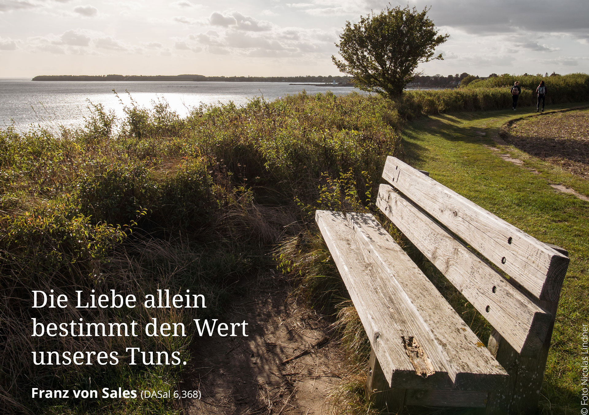 Fotos_Nicolas-Lindner_42