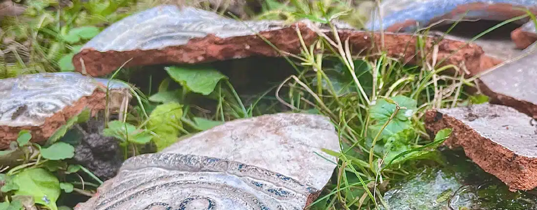 salesianische_exerzitien_2026_titel