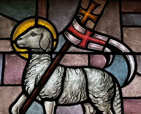 david-bumgardner-unsplash