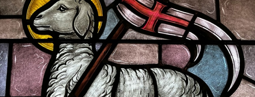 david-bumgardner-unsplash